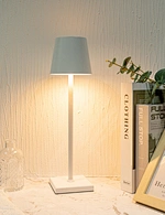 LED metal lamp night light