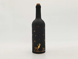 Glass bottle with string light