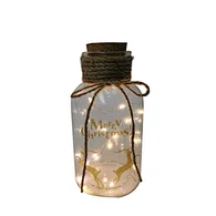 Glass silk printing bottle with string light