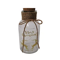 Glass silk printing bottle with string light