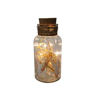 Glass silk printing bottle with string light