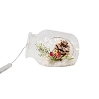 LED glass bottle with xmas deco with light chain