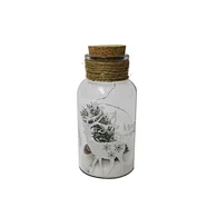Glass silk printing bottle with string light