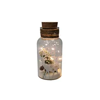 Glass silk printing bottle with string light