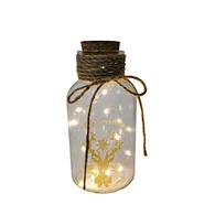 Glass silk printing bottle with string light