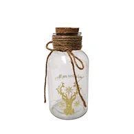 Glass silk printing bottle with string light