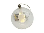 LED hanging glass ball
