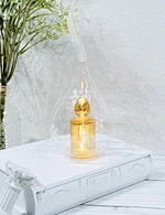 LED glass light
