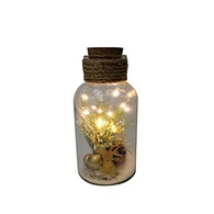 Glass silk printing bottle with string light