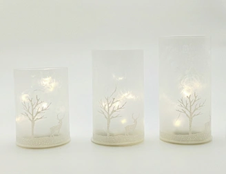 Silk  printing frosted glass cup with string light