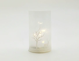 Silk  printing frosted glass cup with string light