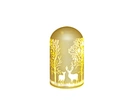 LED glass dome with string light