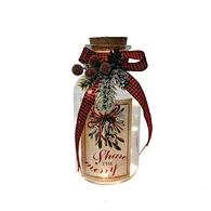 Glass sticker bottle with string light