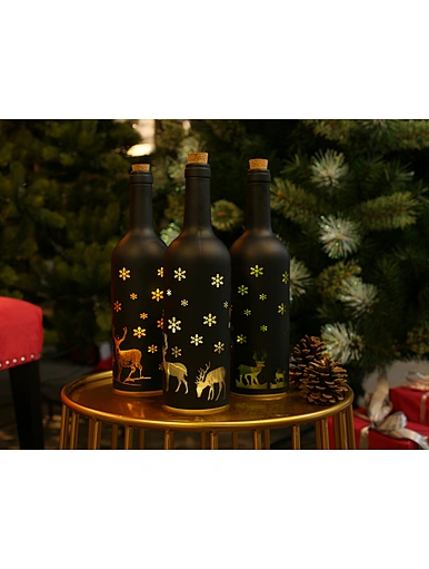 Glass bottle with string light