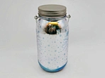 LED glass jar
