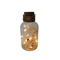 Glass silk printing bottle with string light