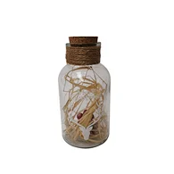 Glass silk printing bottle with string light