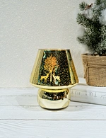 LED glass light