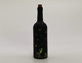 Glass bottle with string light