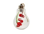 LED Christmas bulb