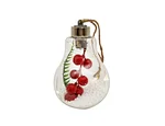 LED Christmas bulb