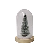 LED dome glass with wooden base with light chain