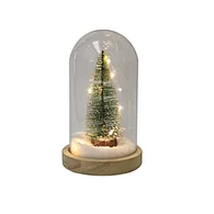 LED dome glass with wooden base with light chain