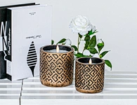 led wax candle providers
