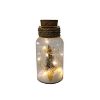 Glass silk printing bottle with string light