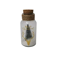 Glass silk printing bottle with string light