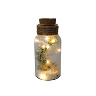 Glass silk printing bottle with string light