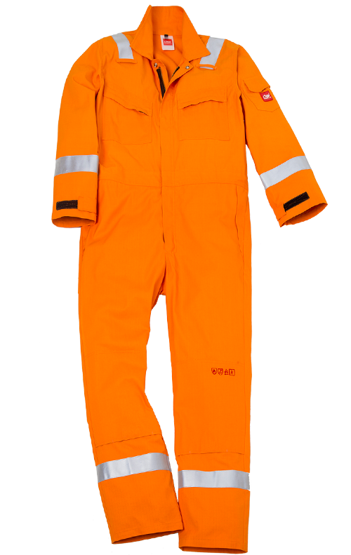 FR31