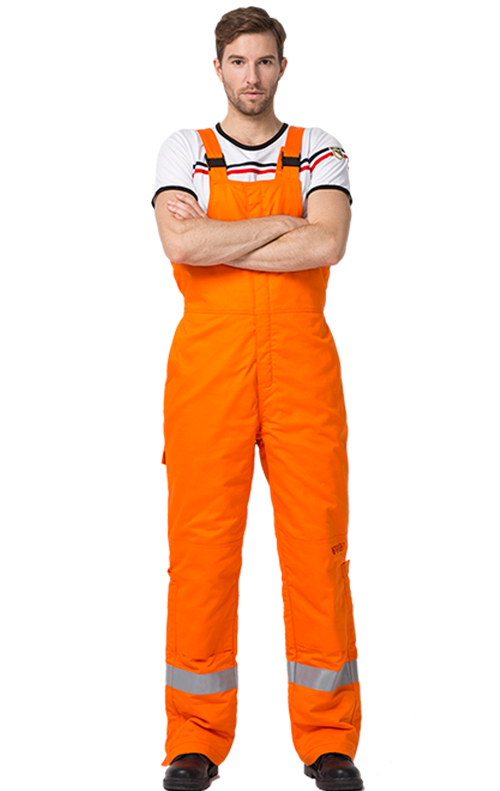 FR37