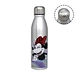 Alunimun Bottle
