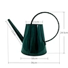 Small Indoor Watering Can