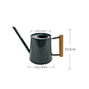 watering can 1 gallon