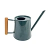 best indoor watering can