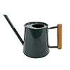 best indoor watering can