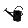 2 gal metal watering can