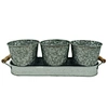 the flower pot