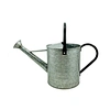 2L powder coated Steel Decorative Garden Watering Can