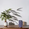 galvanized metal watering can