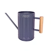 galvanized metal watering can