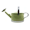 small indoor watering can