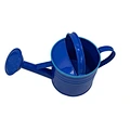 Metal Small Kids Watering Can for Indoor Outdoor