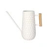long spout watering can