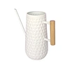 embossed indoor watering can