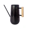 galvanized metal watering can