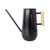 indoor watering can