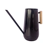 indoor watering can